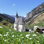 Grauzone Grossarl