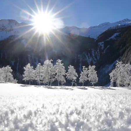 Gasthof Grauzone Großarl