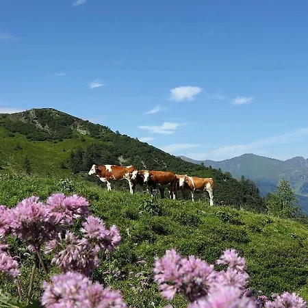 Grauzone Pensionat Grossarl