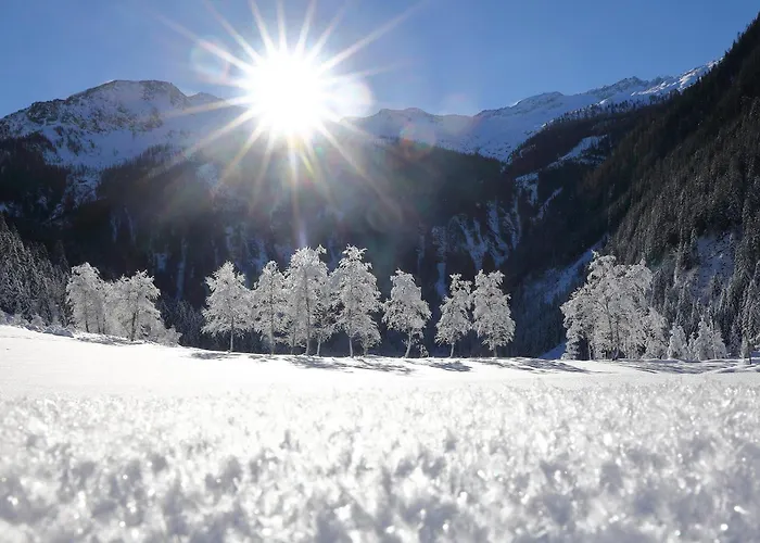 بيت ضيافة Grauzone غروسارل