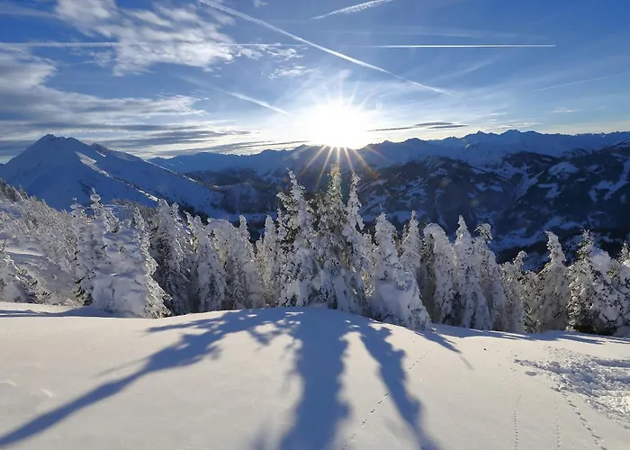 Grauzone بيت ضيافة 4*