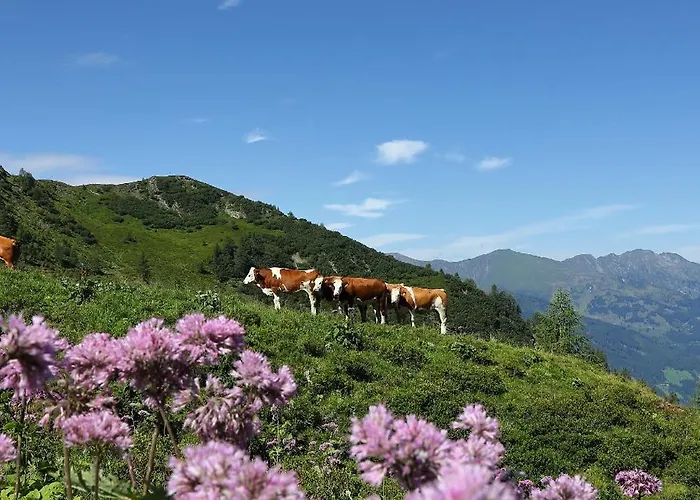 Grauzone Pensionat Grossarl