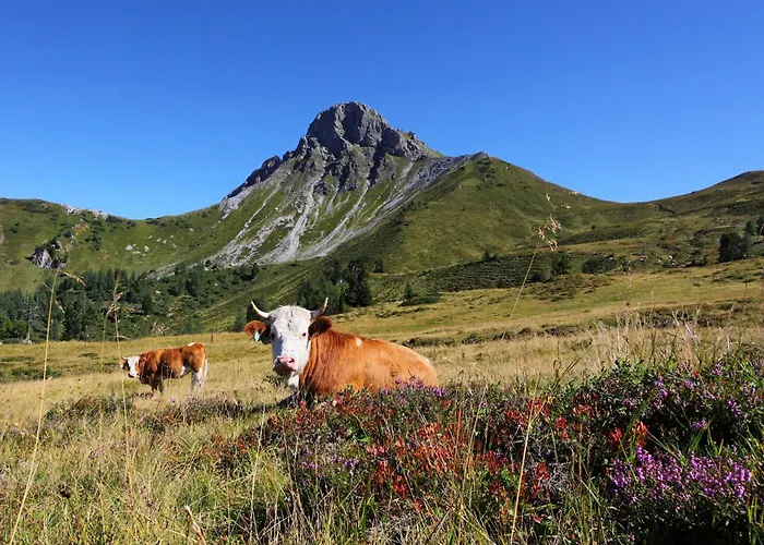 Pensionat Grauzone Grossarl
