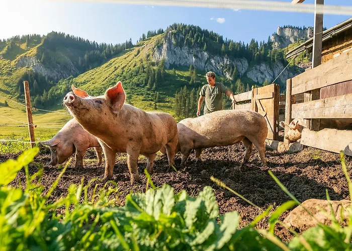 Grauzone بيت ضيافة